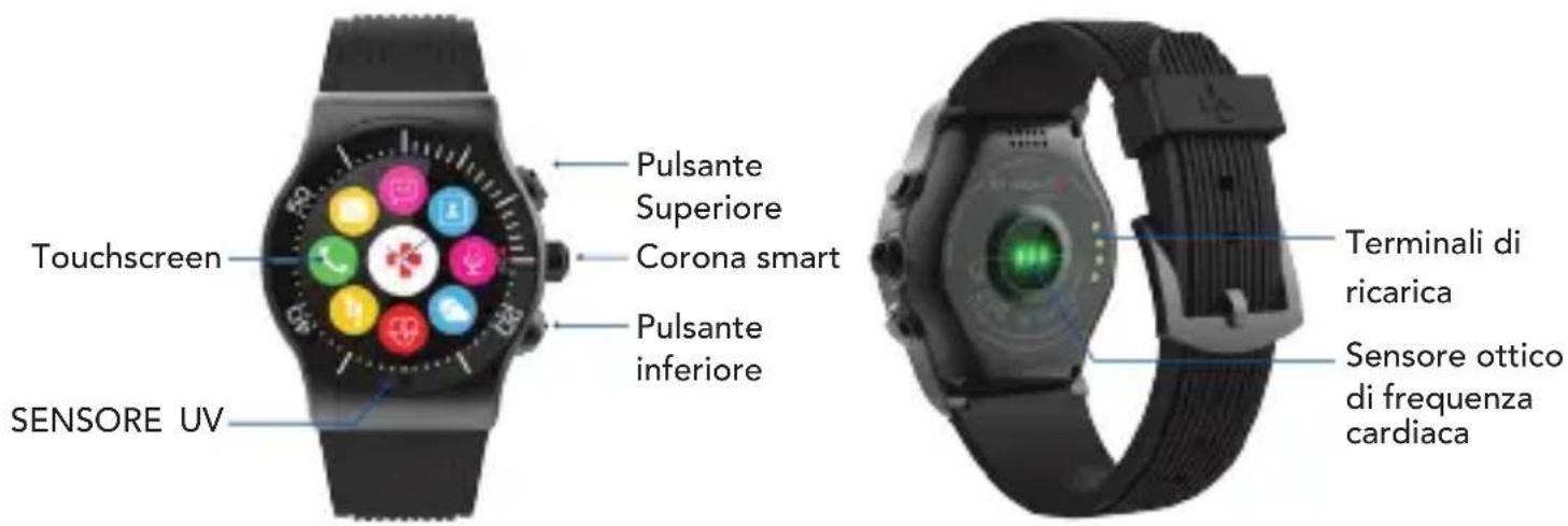 MYKRONOZ ZeSport - INFORMAZIONI GENERALI - 1