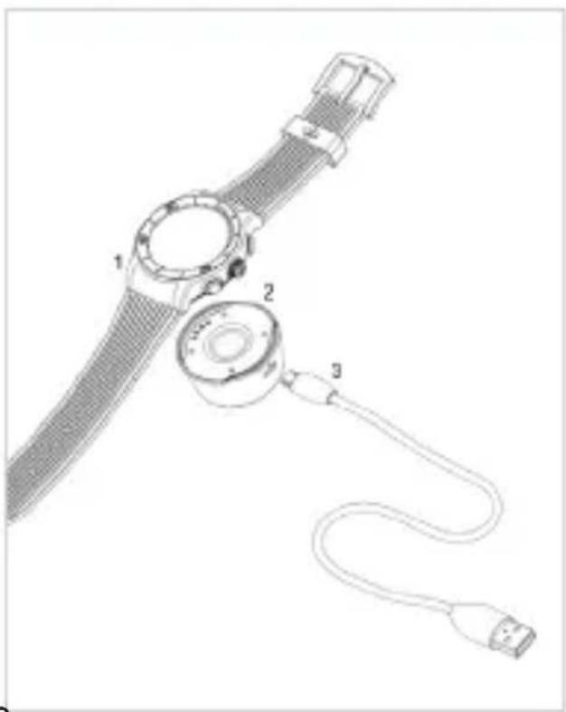 MYKRONOZ ZeSport - CARICA - 1