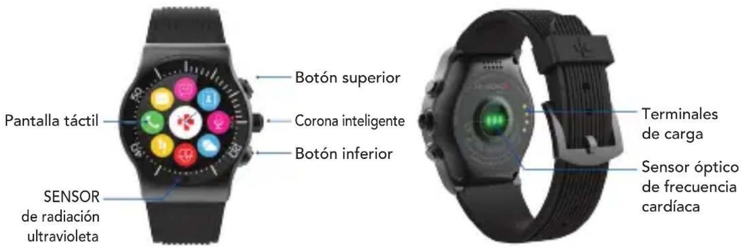 MYKRONOZ ZeSport - GENERALIDADES - 1