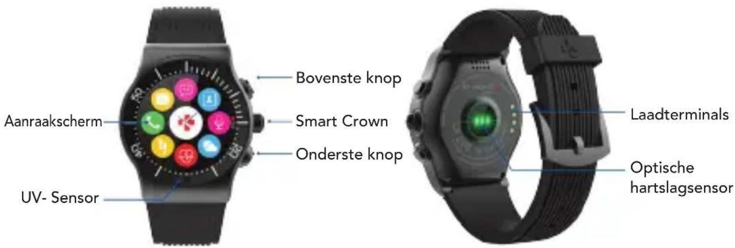 MYKRONOZ ZeSport - OVERZICHT - 1