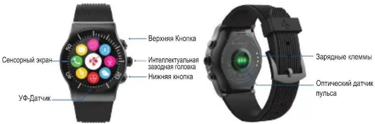 MYKRONOZ ZeSport - ОБЗОР - 1