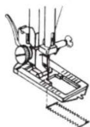 LIFETEC MD 13343 - Point fantaisie - 12
