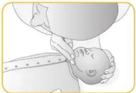 Joblotron BM02 Nanny - CONTROLLARE LA CIRCOLAZIONE DEL SANGUE - 1