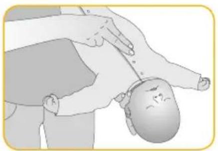 Joblotron BM02 Nanny - LIBERARE LE VIE RESPIRATORIE - 2