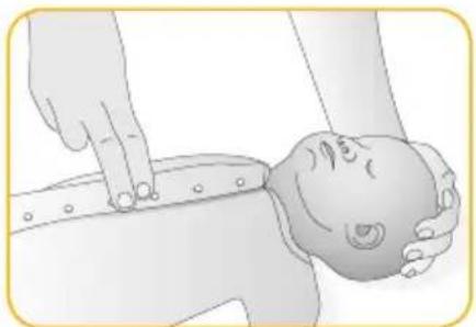 Joblotron BM02 Nanny - IT - 2