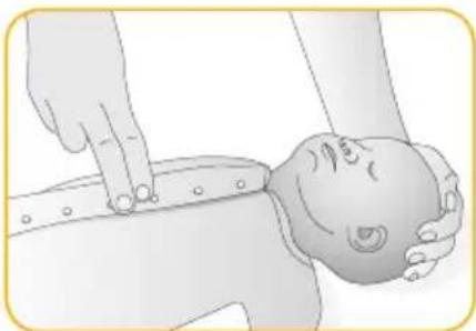 Joblotron BM02 Nanny - CHECK BLOOD CIRCULATION - 1