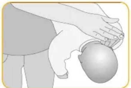 Joblotron BM02 Nanny - Give 3-5 backslaps - 1