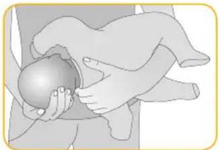 Joblotron BM02 Nanny - DAS KIND IN DIE STABILISIERTE POSITION BRINGEN - 1