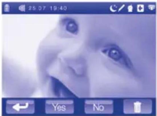 CHICCO Top Digital Video Baby Monitor - Tecnologia digital: - 47