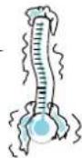 BAUKNECHT EMCHE 8145 ES - Alimentssurgeles - 1