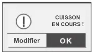 Pelgrim MAG740 - Arrêt en cours de cuisson - 1