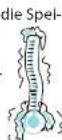 WHIRLPOOL MBF 200 S - D E - 7