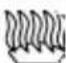 CLATRONIC MW 1251 WH - Manejo - 6