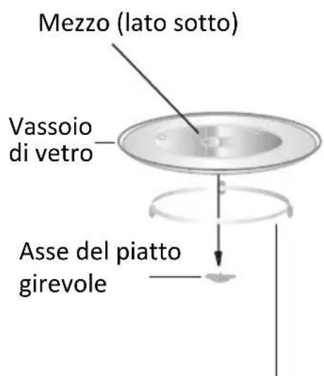 PROLINE GM20S - Piatto rotante - 1