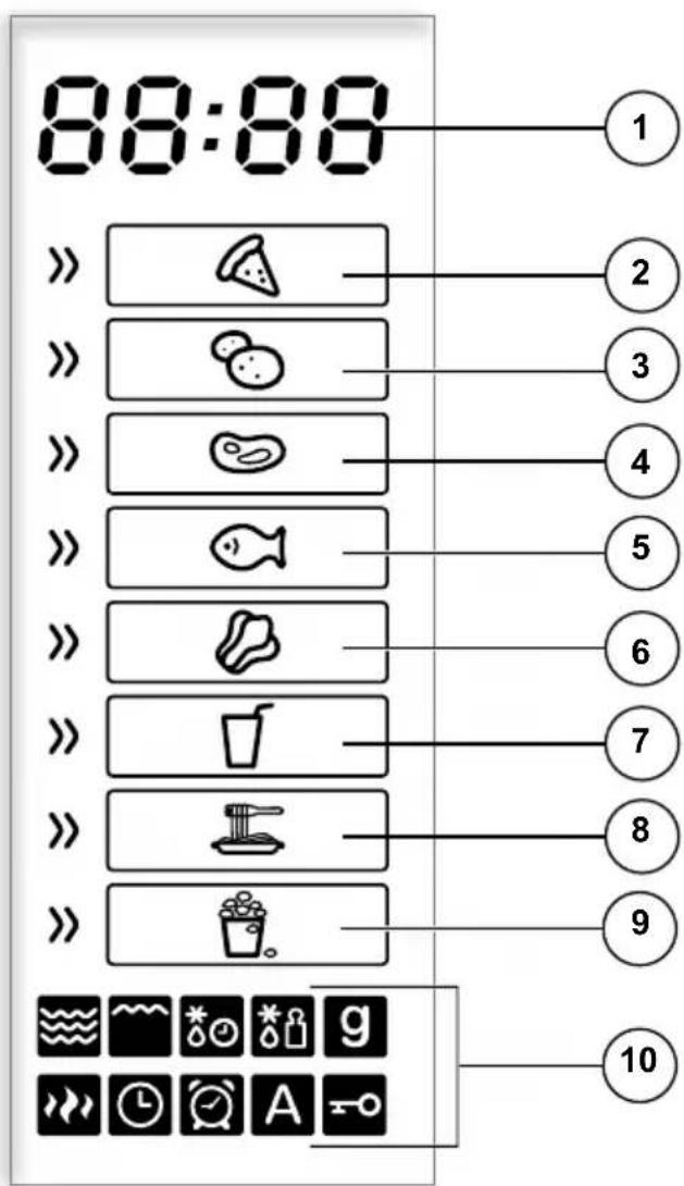 QUIGG MD 14482 - Display - 1