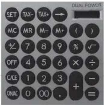 REX D21 - SON CLAVIER - 1