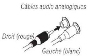 PIONEER VSX515K - Cables audio analogiques - 1
