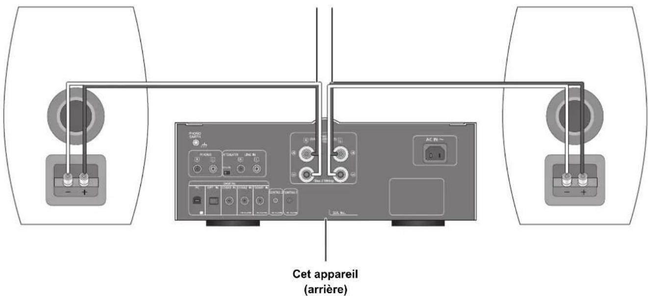 TECHNICS SUC700 - Raccordements des enceintes - 1