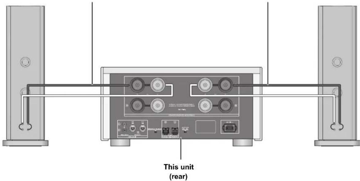 TECHNICS SER1 - Speaker connection - 1