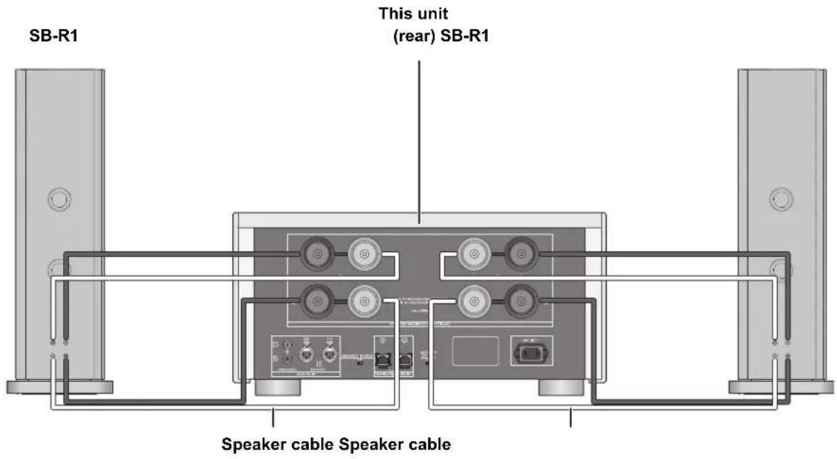 TECHNICS SER1 - ■ Bi-wiring connection - 1