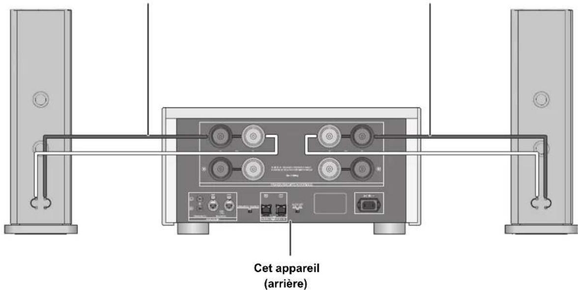 TECHNICS SER1 - ■ Branchement mono-câblage - 1