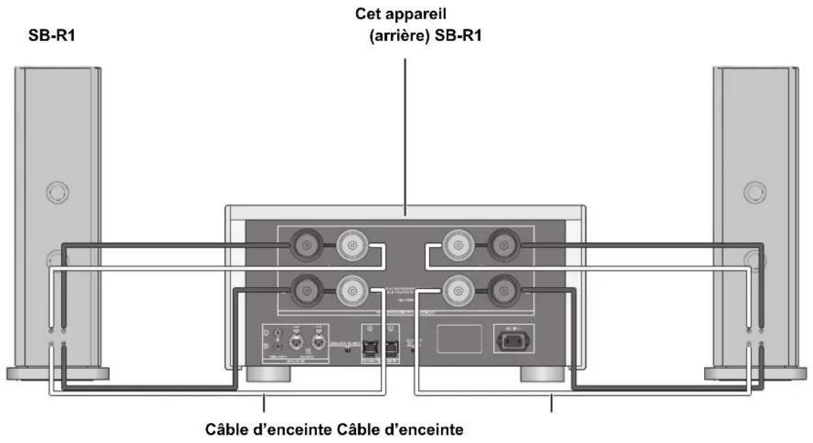 TECHNICS SER1 - ■ Branchement bi-câblage - 1