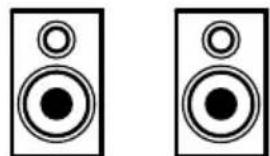 PIONEER VSXD811SS - Terminali dei diffusori - 10