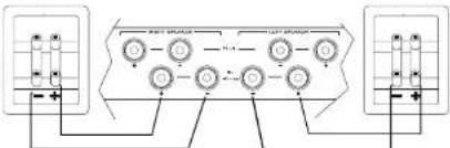 MAGNAT RV 3 - Single Wiring: - 1
