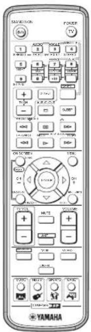YAMAHA DVRS150 - Medfoljande Tillbehör - 1