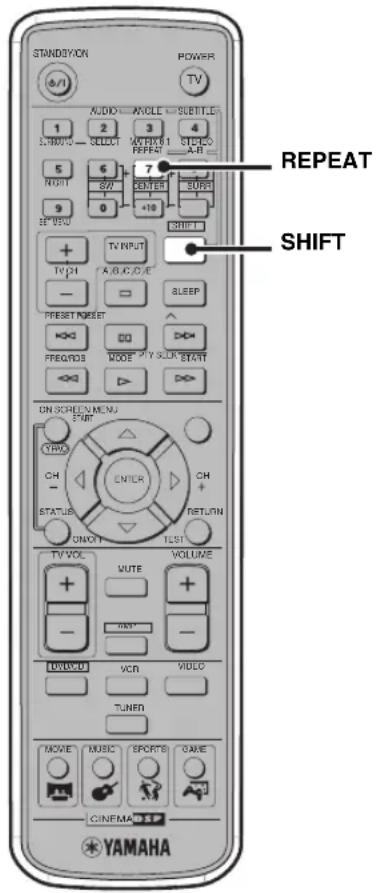 YAMAHA DVRS150 - Hinweise - 1