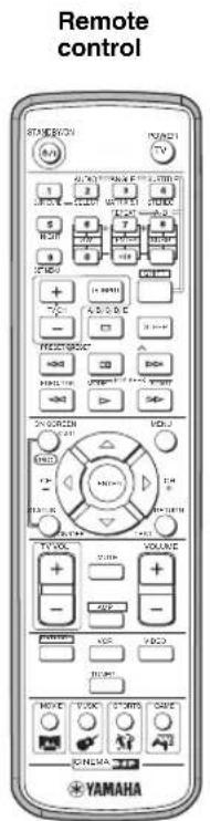 YAMAHA DVRS150 - Supplied Accessories - 1