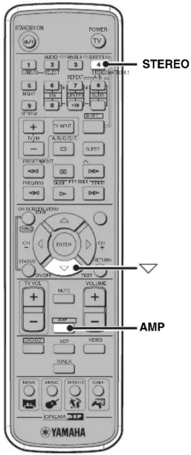 YAMAHA DVRS150 - Prüfung des Audio-Eingangssignaltypes - 1