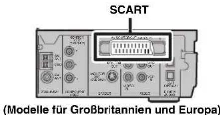 YAMAHA DVRS150 - Andere Anschlussmethoden - 2