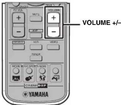 YAMAHA DVRS150 - Regelen van het volume - 1