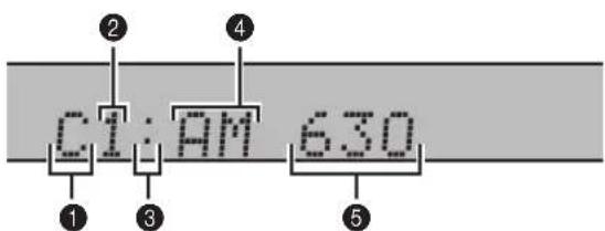 YAMAHA DVRS150 - About the display - 1