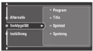 YAMAHA DVRS150 - Anmärkninger - 2