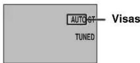 YAMAHA DVRS150 - Automatiskinstalling av radiostationer (automatisk stationssökning) - 3