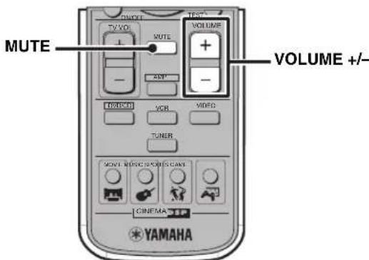 YAMAHA DVRS150 - Muting the Sound (Mute) - 1
