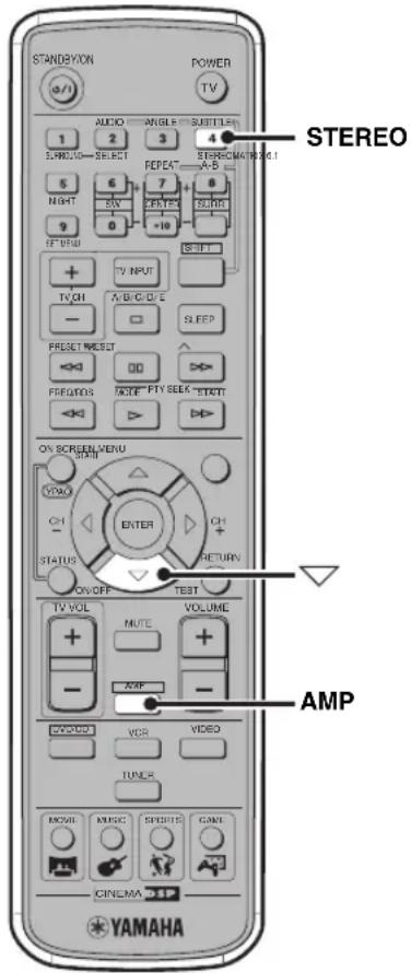 YAMAHA DVRS150 - Controleren van het type Audio Ingangssignaal - 1
