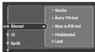 YAMAHA DVRS150 - Inställing avforalldrakontrollsnivå - 3
