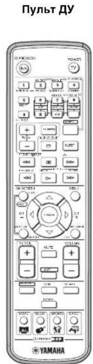 YAMAHA DVRS150 - NocTabJIaEmbIe Akceccyapbl - 1