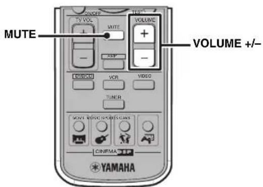 YAMAHA DVRS150 - Ljudavstängning (Mute) - 1