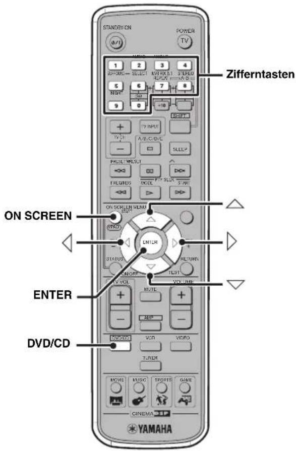 YAMAHA DVRS150 - Hinweise - 1