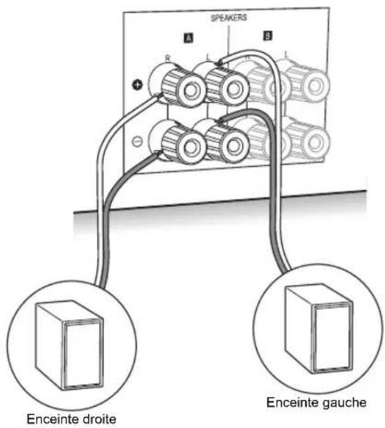 PIONEER SXN30DAB - Connexion des enceintes - 1