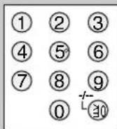 PANASONIC SAHE40 - Lecteur DVD - 29