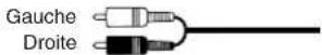 PANASONIC SAHR45 - Cable coaxial - 1