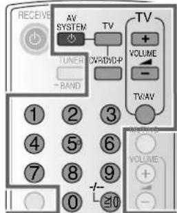 PANASONIC SAHR45 - Lecteur DVD - 1