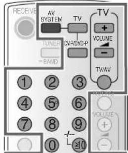 PANASONIC SAHR45 - Lettore DVD - 1