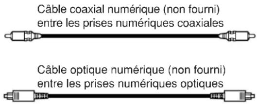 JVC RX5062 - Prises d'entrée numériques - 1