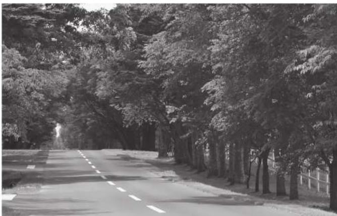 PANASONIC CYPA2003N - 1